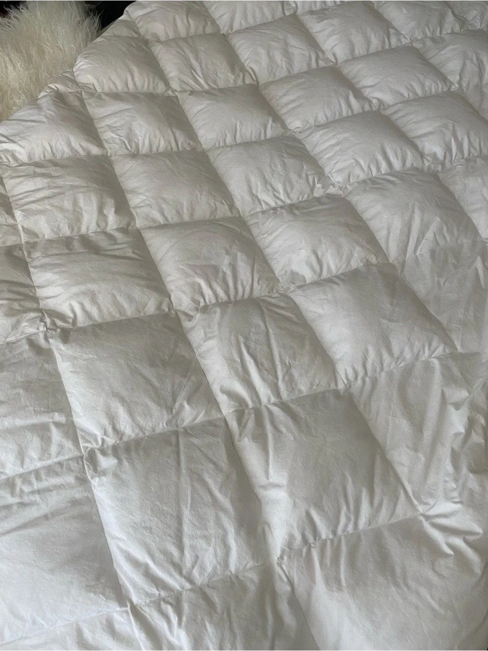 RH down mattress pad